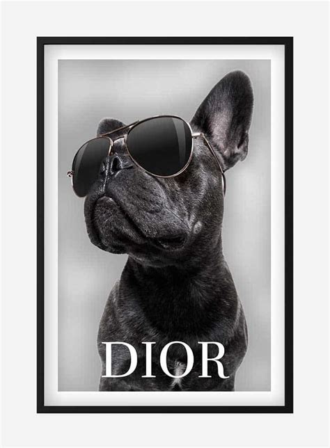 dior poster dog|Dior Dog Poster .